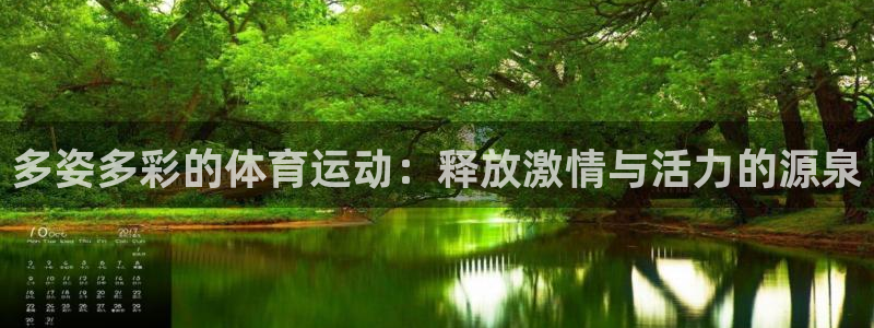 球客岛：多姿多彩的体育运动：释放激情与活力的源泉