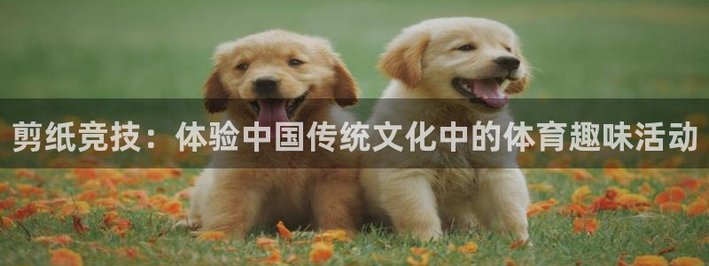 球客岛
