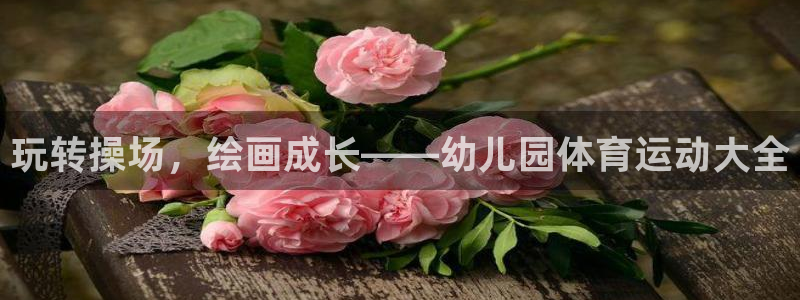 球客岛：玩转操场，绘画成长——幼儿园体育运动大全