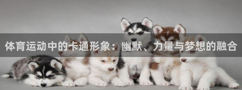 球客岛：体育运动中的卡通形象：幽默、力量与梦想的融合