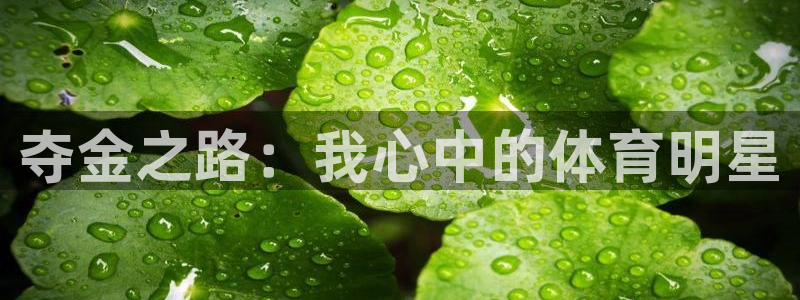 球客岛