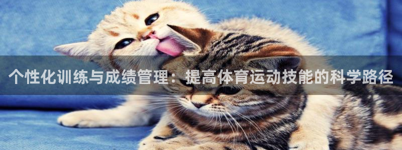 球客岛
