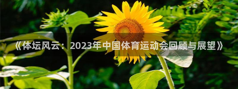 球客岛：《体坛风云：2023年中国体育运动会回顾与展望》