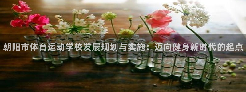 球客岛：朝阳市体育运动学校发展规划与实施：迈向健身新时代的起点